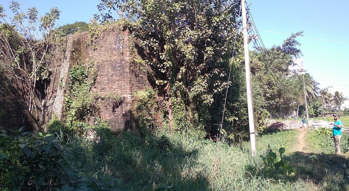 ধ্বংস হয়ে গেছে সব স্মৃতিচিহ্ন। কেবল টিকে আছে ঝোপে ঢেকে যাওয়া দুটি হ্যাঙ্গার ওয়াল। ফেনী বিমানঘাটির ২০ ফুট উঁচু এমন একটি হ্যাঙ্গার ওয়াল। শহরের উত্তর বিরিঞ্চি এলাকায়।ছবি: প্রথম আলো